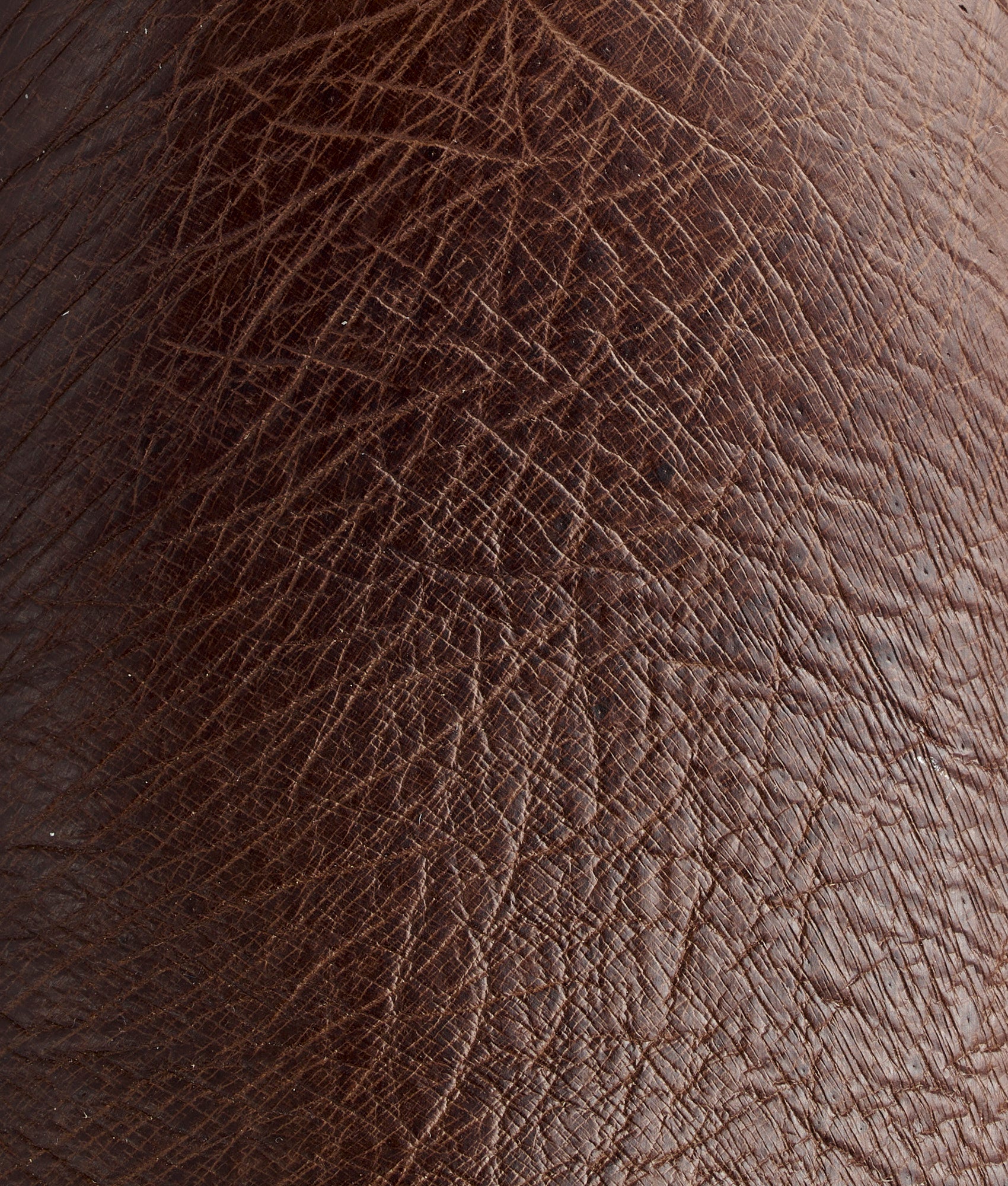 Ridgeline Exotic Pull On :: Tobacco - Image 8