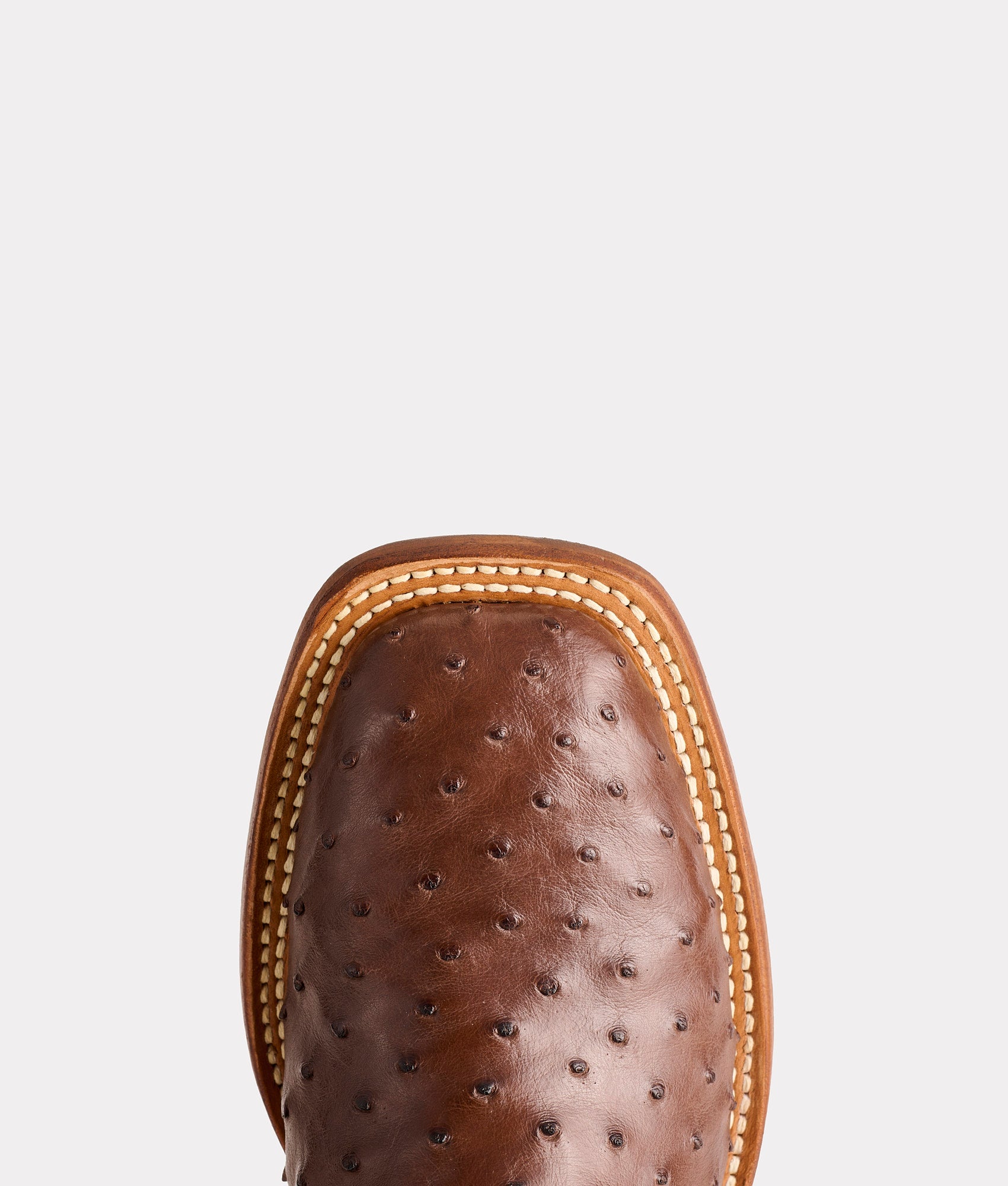 The Caller :: Sienna - Image 8