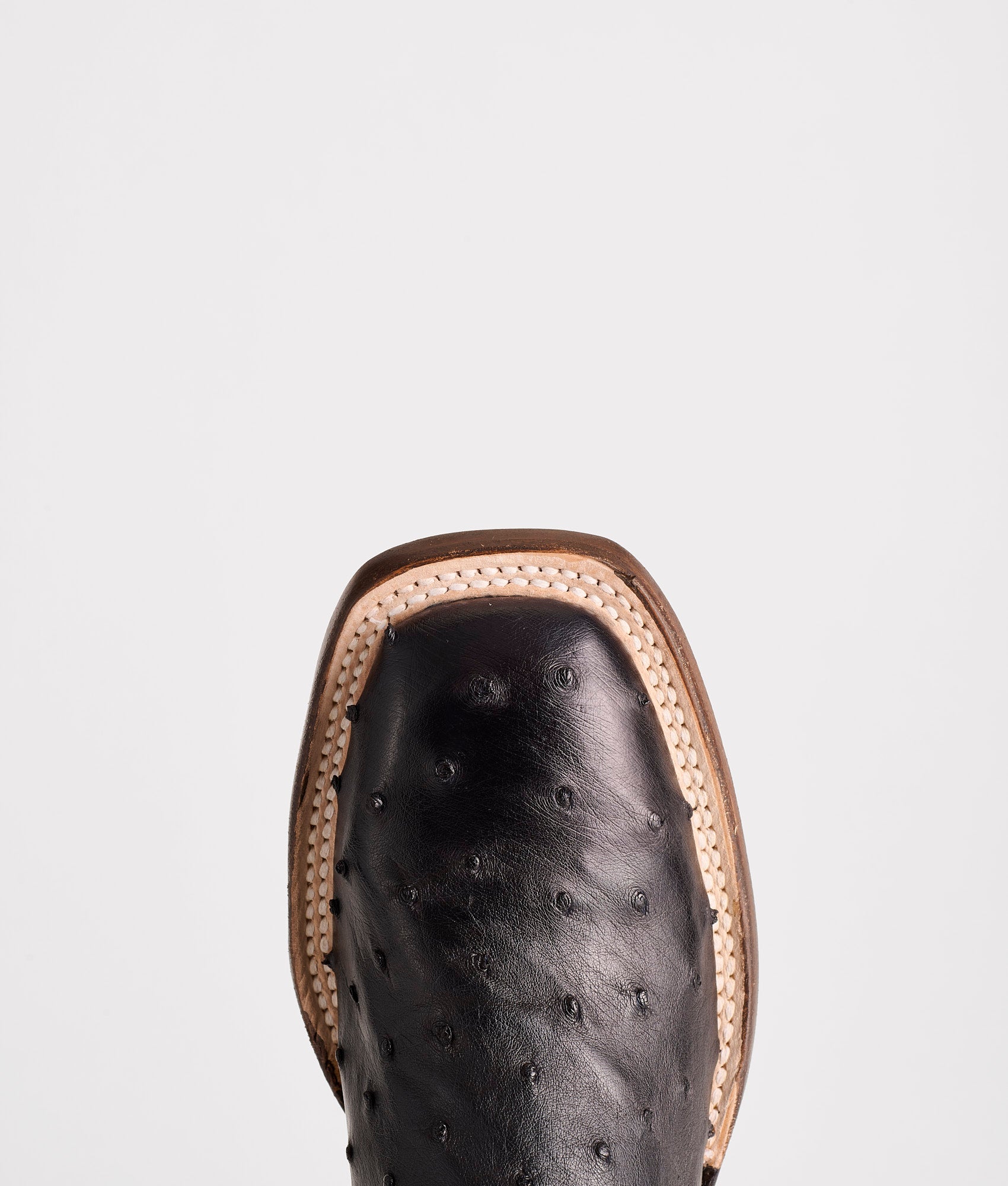 Josephine Horseman :: Antique Black - Image 6