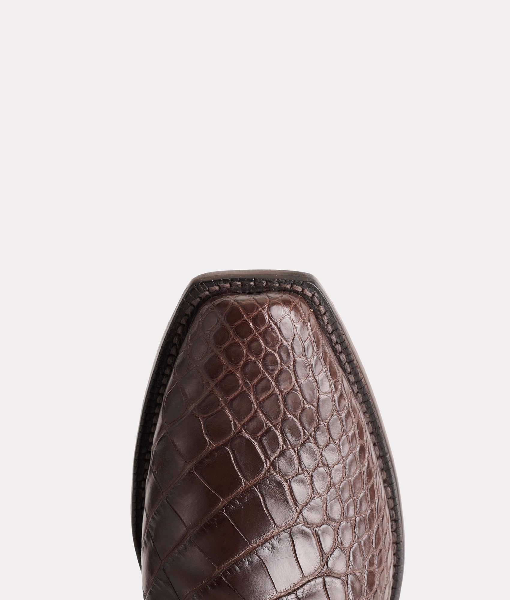 Baron :: Chocolate - Image 8