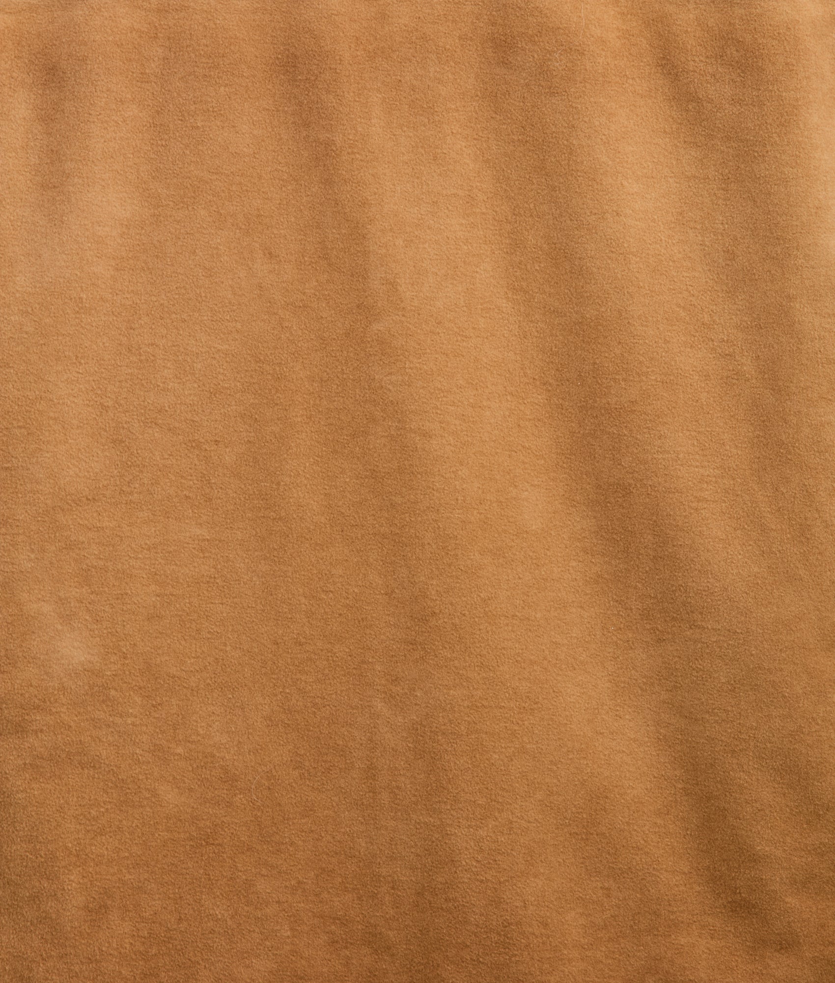 Tennessee Jacket :: Camel - Image 10