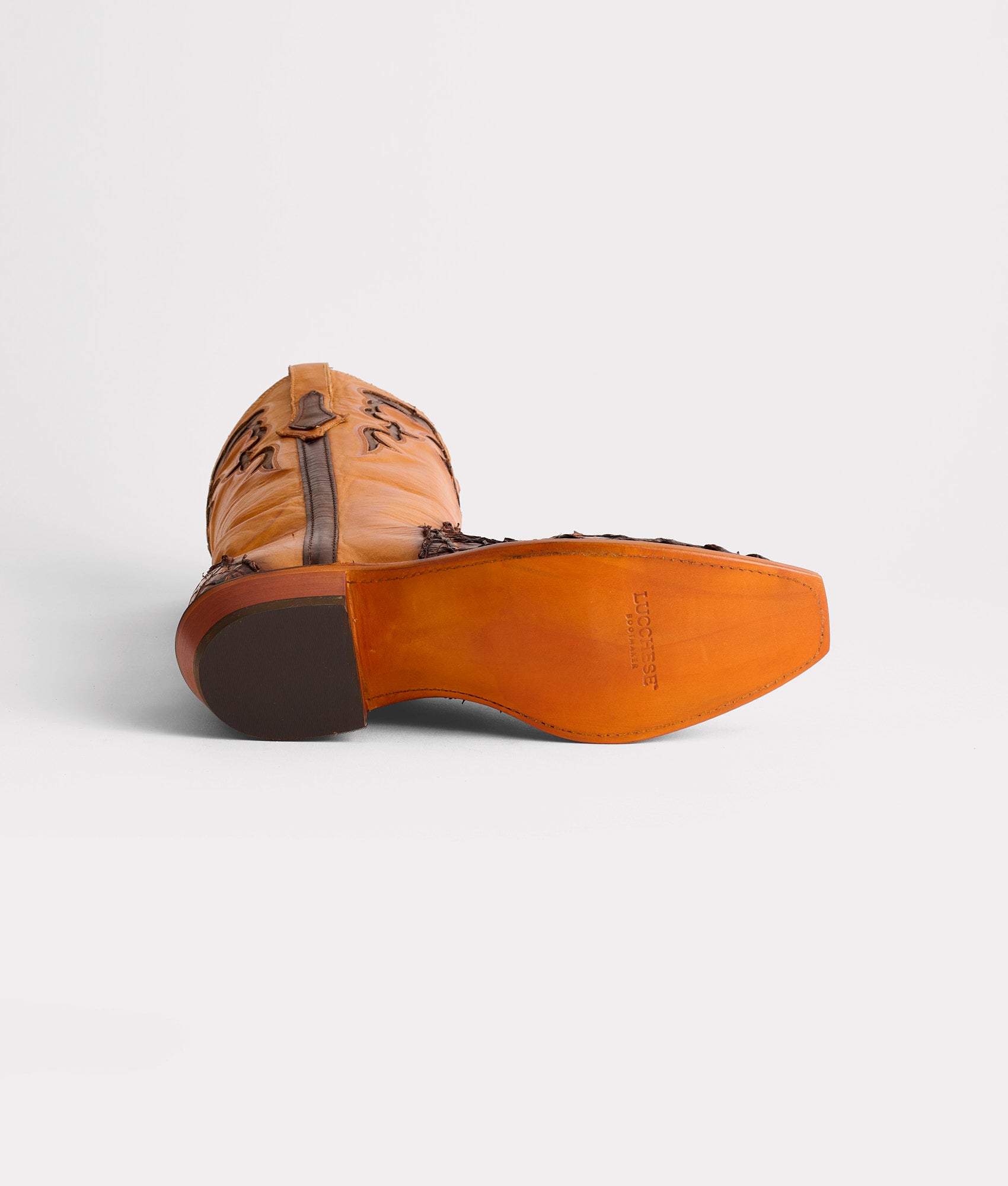 Narcisso :: Chocolate - Image 6