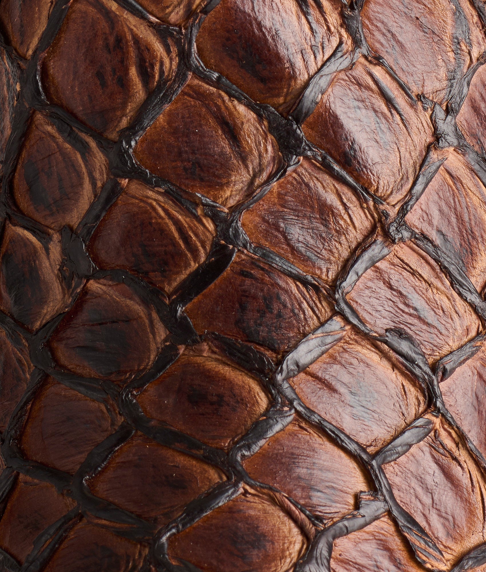 Narcisso :: Chocolate - Image 8