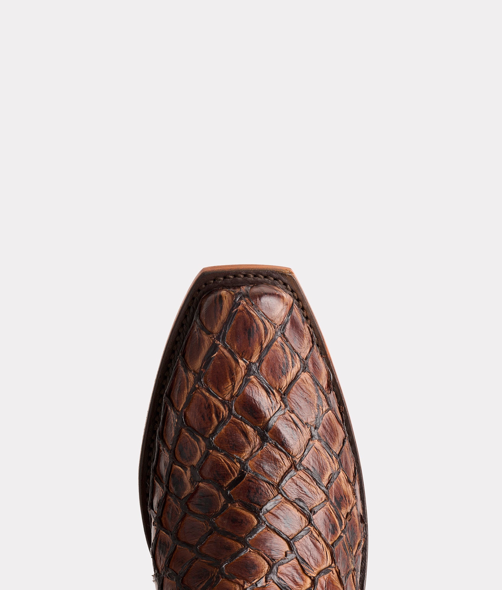 Narcisso :: Chocolate - Image 7