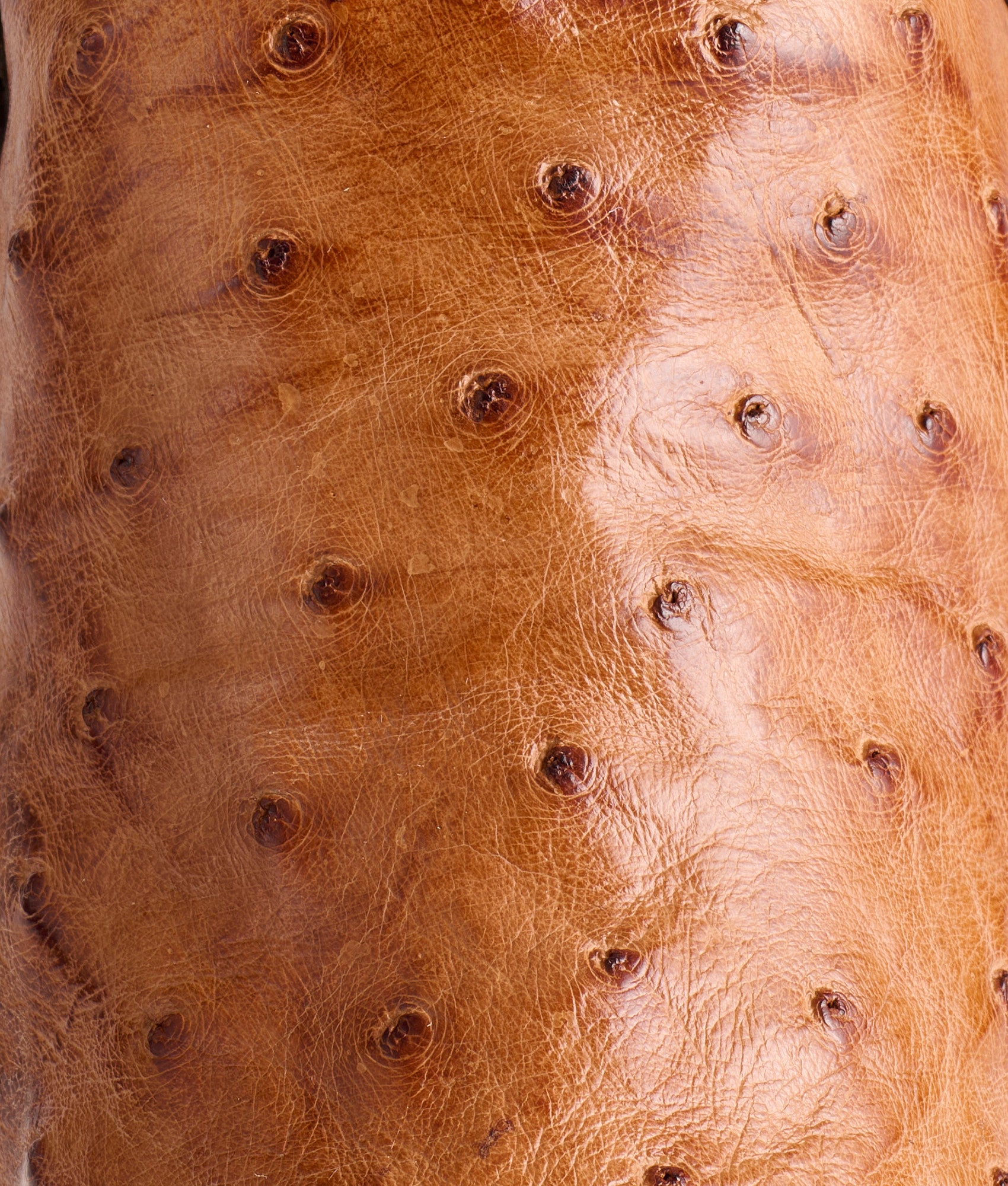 Dolly :: Barnwood + Tan - Image 7