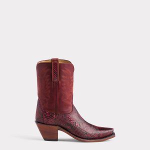 Dale Exotic :: Garnet