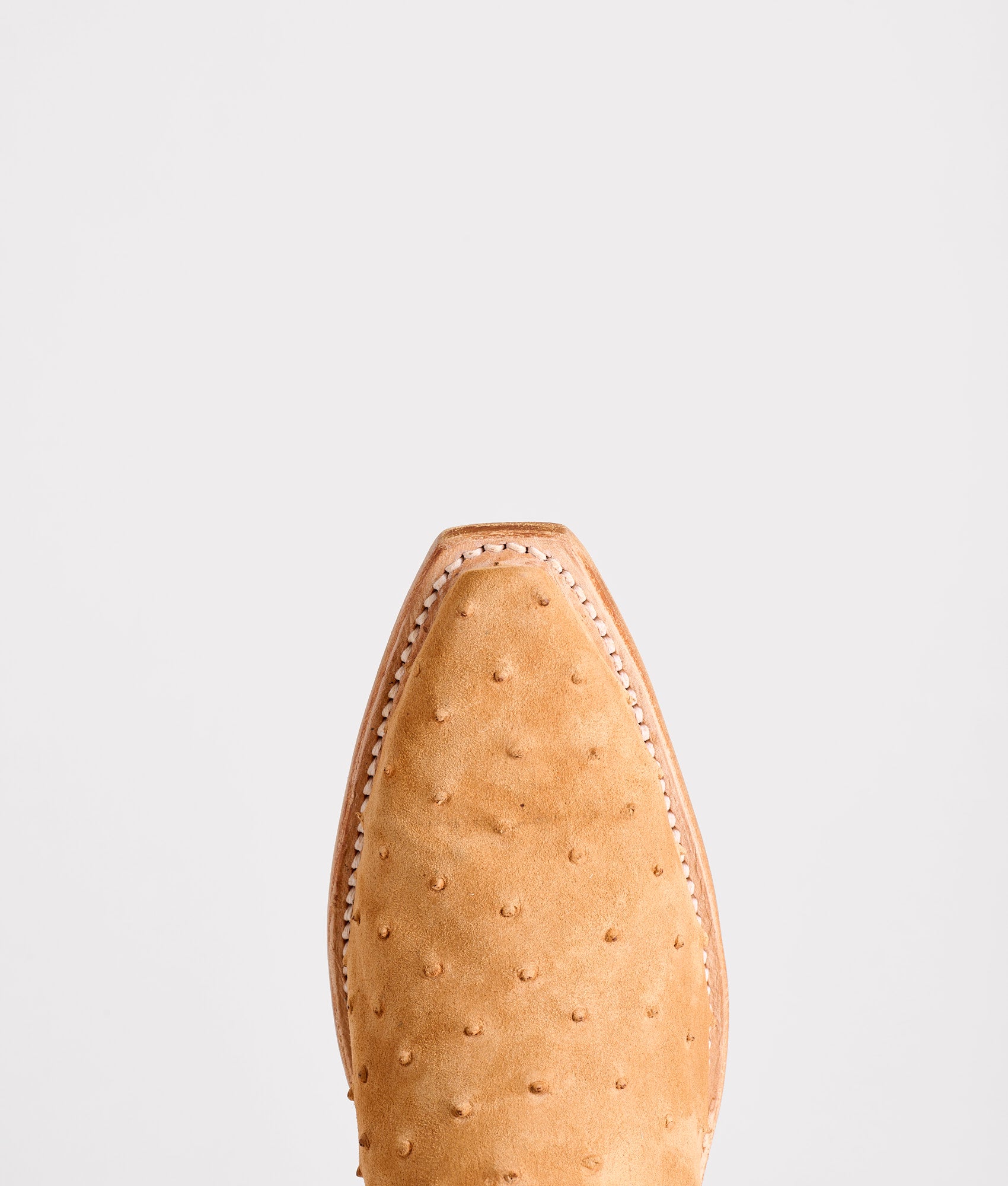 Sweetheart :: Brandy - Image 8